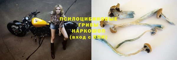 соль ск Ростов