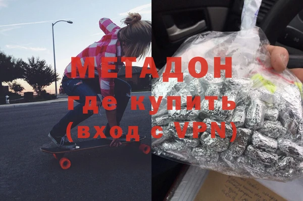 прущие грибы Рославль