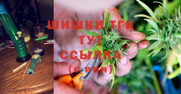 дживик Сатка