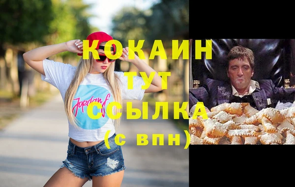 сатива Сафоново