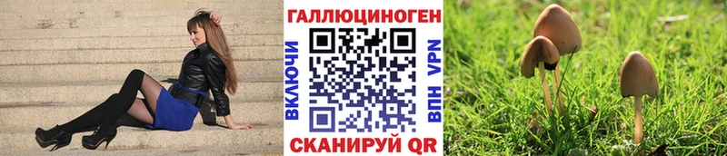 Псилоцибиновые грибы GOLDEN TEACHER  дарнет шоп  Перевоз 